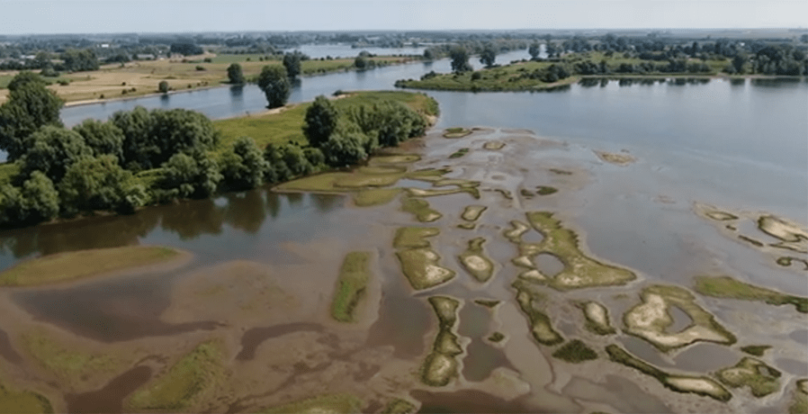 koornwaard25